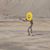 Barbara Carpentier-Johnson's profile image