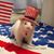 Melanie Traina-Assenmacher's profile image