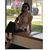 Carolina Thomas's profile image
