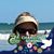 Shirley Stocker Mitchell's profile image