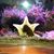 Terri Clune's profile image