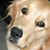 Brenda Furmato's profile image