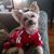 Cheryl MacNabb's profile image