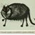 Reb Ecca's profile image