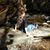 Di Ingrid Brewer's profile image