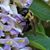 Mary Maloy Pekarske's profile image