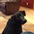 Craig Averett's profile image