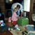 Coleen Moore Warren's profile image
