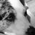 Stephanie Walsh's profile image
