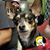 Laura G. De Ramirez's profile image