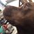 Jean Cunnington's profile image