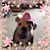 Mattie Blevins's profile image