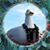 Lauri Spector's profile image