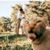 David Raasch's profile image
