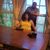 Tiffany Johnson's profile image