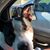 Tracey E. Estrada's profile image