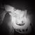 Jennifer Nicole Cathorall's profile image