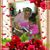 Leticia Samia's profile image