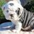 Kimberly Molnar's profile image