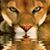 Lee Roberts's profile image