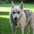 John Baumgartner Sr's profile image