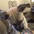 Dawn Marie's profile image