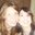 Chelsea Lange's profile image