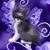 Kristy Sales's profile image