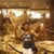 Marie-Dany Brutus's profile image