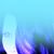 Callie Micek's profile image