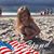 Aimee Taylor's profile image