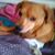 Dawn Savinski's profile image