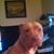 Phillip Boutwell's profile image