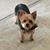 Denise Needham's profile image