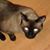 Denise Beale Clark's profile image