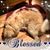 Alexia Ann Hawkins's profile image