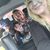 Debbie Fleming Coyle's profile image