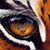 Christian Rowland Reynolds's profile image