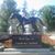 Tony Della Rocco's profile image