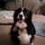 Taya Martley's profile image