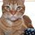 Susan Bryan Slagle's profile image