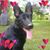 Eugeneoramy Blazensky's profile image