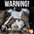 Nichole Mainville's profile image