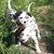 Samantha Renwick's profile image