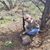 Lynda Sanders's profile image