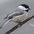 Marcia Mason's profile image