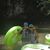 Rose Anaya Mednick's profile image