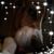 Elaine Kilmer's profile image
