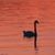 Michele Lawrence's profile image