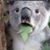 Matthew Taylor's profile image